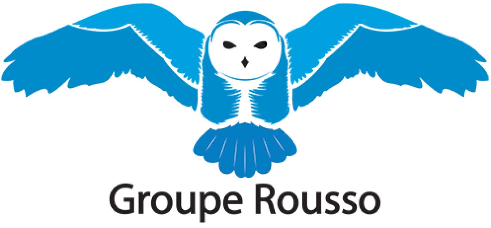 Rousso Nettoyage Microbiologique de Climatiseur, Thermopompe, Ventilation Logo